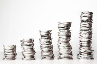 В Узбекистане экологи продали лес