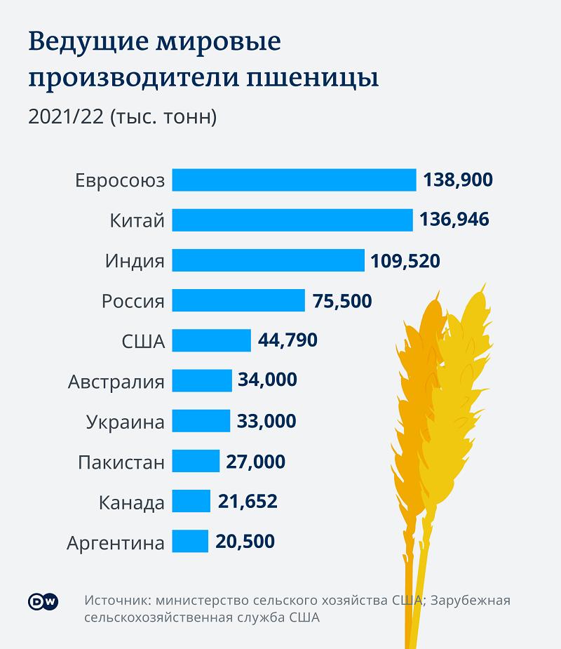 "Серый" импорт зерна из РФ – угроза рынкам Центральной Азии