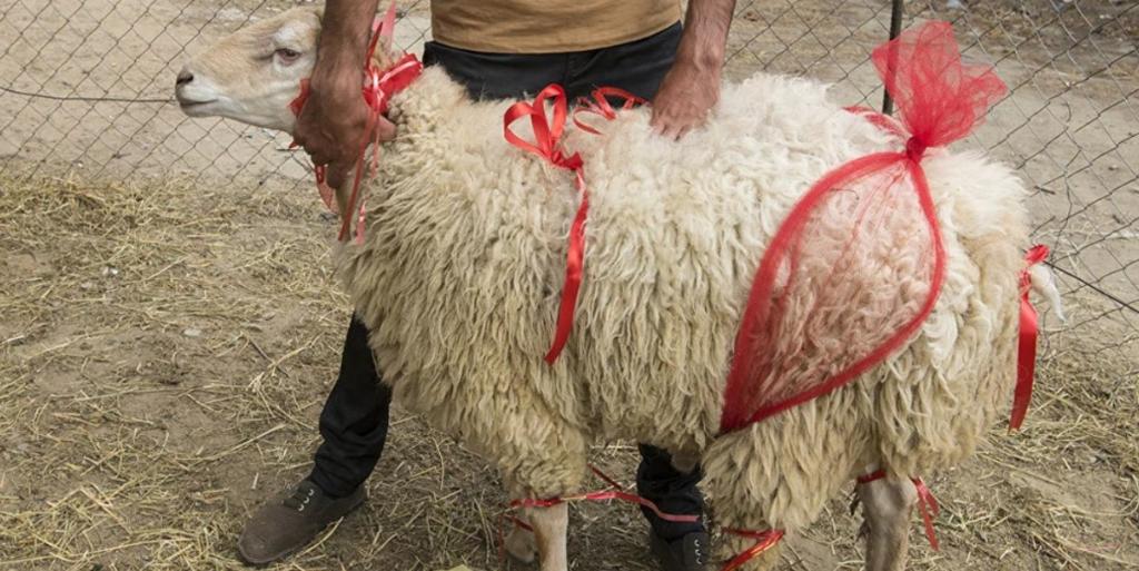Курбан Айт и Eid al-Adha: один праздник - два миллиарда людей - тысячи традиций