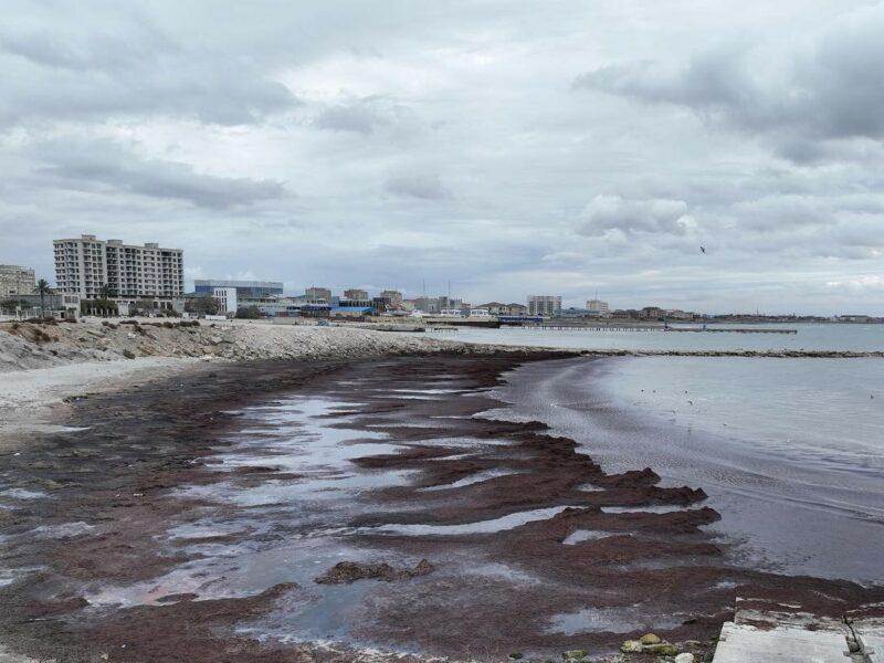 Каспий в районе Актау