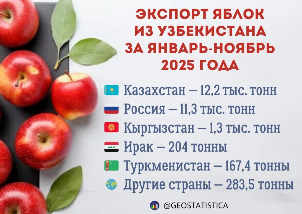 экспорт яблок из Узбекистана